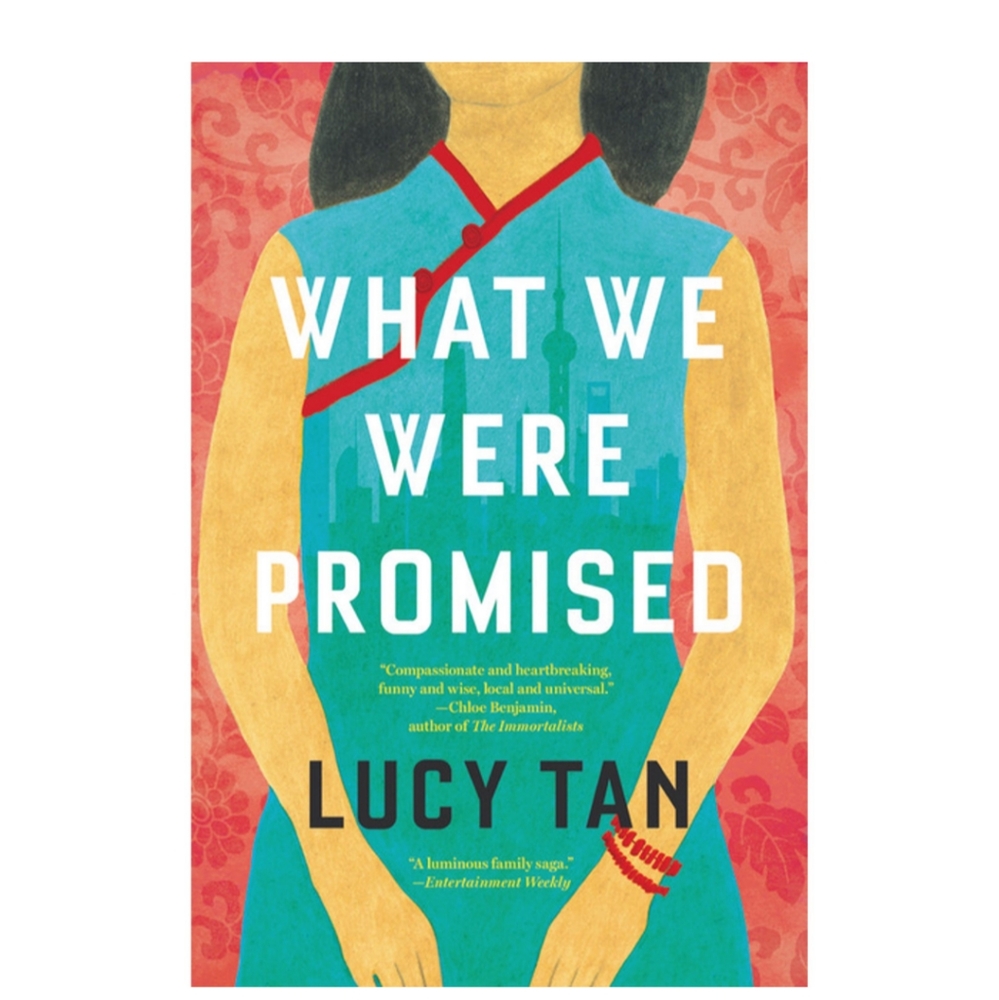 What we were promised book Lucy tan